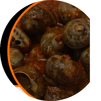 Lumache in umido